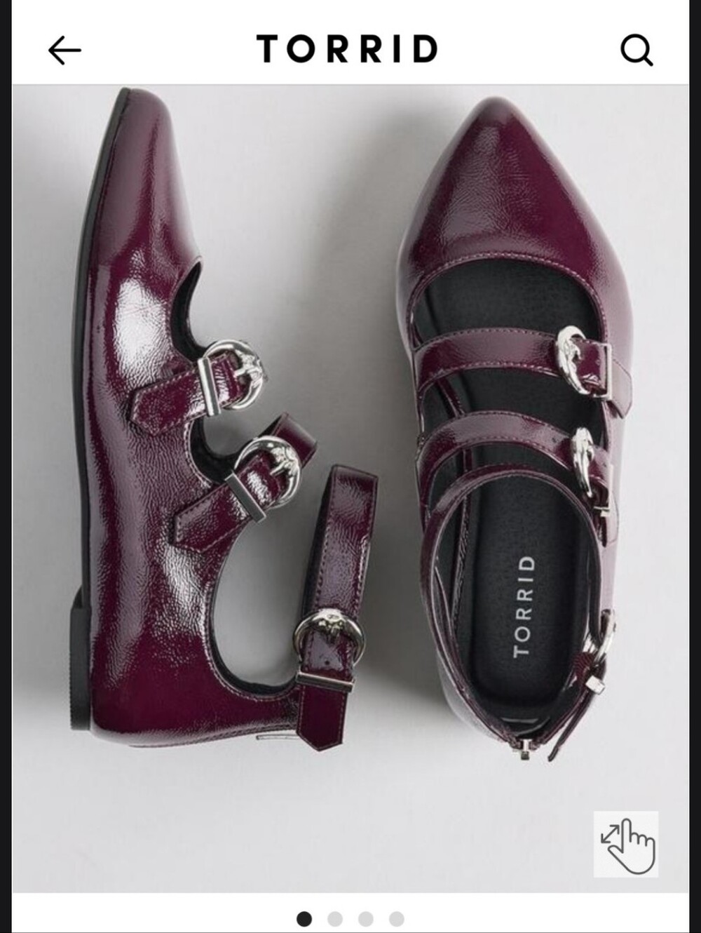 Buckle Pointed Toe Flat (WW)